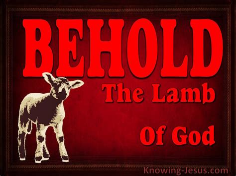 Cult of the Lamb - A Bleating Good Time Balancing Blood Sacrifice and Dungeon Crawling!