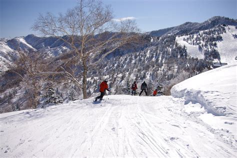 道後山高原スキー場、雪の上で哲学する