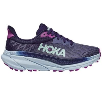 hoka チャレンジャー: なぜ空は青いのか、そしてそれがランニングシューズとどう関係するのか